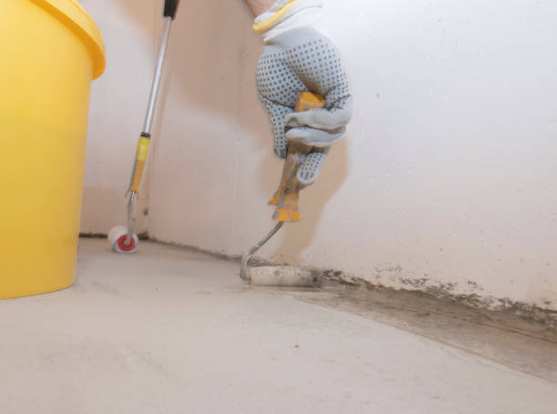 Best Fumigation Services  in Wellington, TX